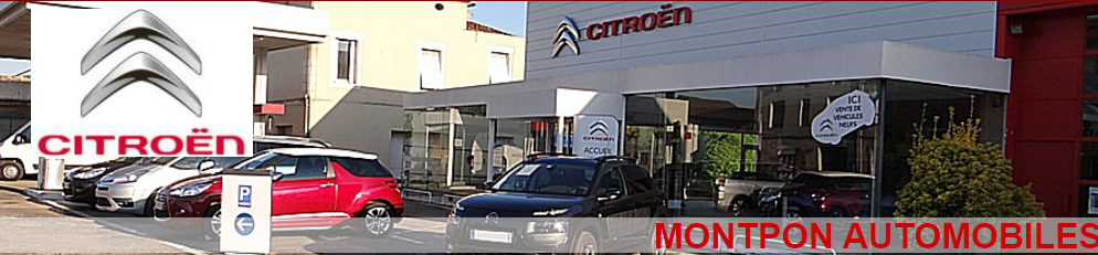 Location de voiture avec chauffeur, Citroën, vente